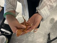 -洛阳龙门海洋馆