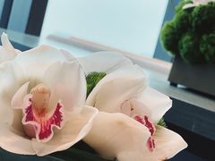 -悦厅·下午茶(杭州柏悦酒店)