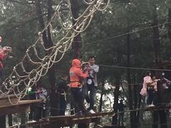 -梦幻奥陶纪景区