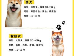 -翊宠yipet猫狗购宠庄园