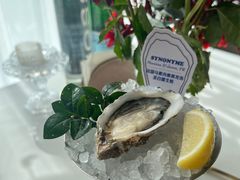 -普朗姆生蚝牛排馆 The Plump Oyster(成都摩方购物中心店)