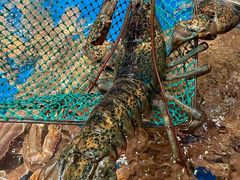 -阿明小菜·海鲜·上海菜(梅陇店)
