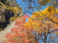 -叠溪松坪沟景区