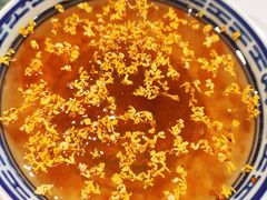 桂花桃胶-开心糖水铺(天府三街店)