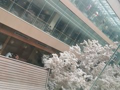 -嘉悦汗蒸时代(曙光路店)