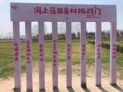 -杭州湾海上花田景区