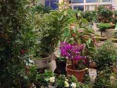 -双季花艺园艺市场(浦东店)