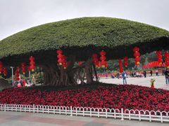 -南宁南湖公园