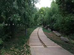 -云南师范大学(一二一西南联大校区)