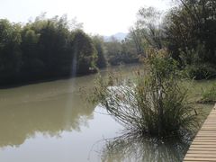 -西溪国家湿地公园