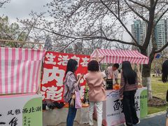 -西北湖绿化广场