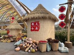 -中国天府农业博览园