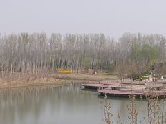 -东郊湿地公园