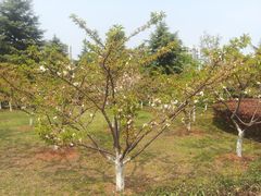 -白塘生态植物园