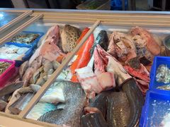-金砂阿洲鱼册店