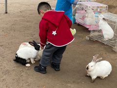 -前小桔亲子创意农场·草莓采摘·露营烧烤