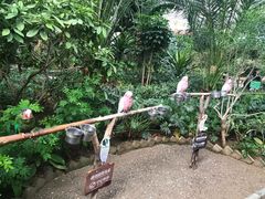 -南宫五洲植物乐园