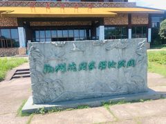 -宁波杭州湾国家湿地公园