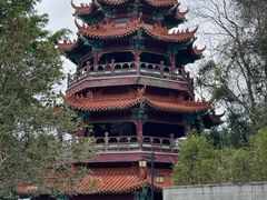 -神光山国家森林公园