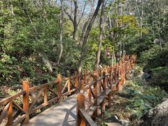 -大岭沟猕猴桃谷风景区