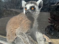 -石家庄市动物园