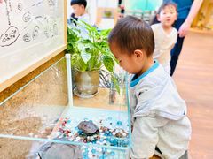 -硅谷蒙学幼儿园