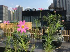 -瓦库茶馆17号(海汇港店)