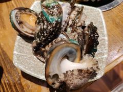 活鲍鱼-阳光岛·海鲜盛宴(银泰中心in99店)