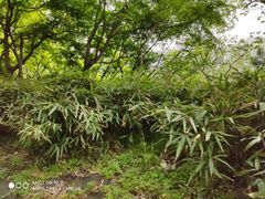 -福阳·足道养生会所(远大路店)