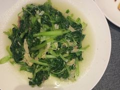 -新吉士·上海菜(浦东LCM置汇旭辉店)