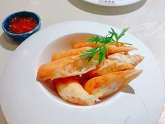 -点都德·毕德寮