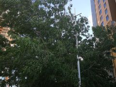 -和平区健康主题公园