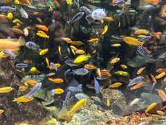 -太平洋海底世界