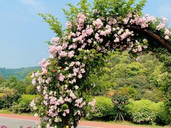 -龙寺生态园