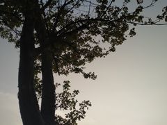 -江南天池