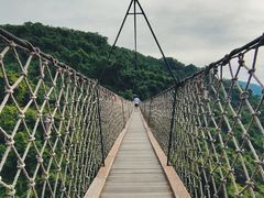 -三亚亚龙湾人间天堂鸟巢度假村