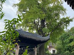 -惠山古镇·寄畅园