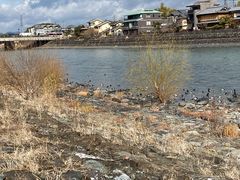 -京都宇治花屋敷浮舟园