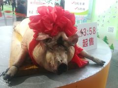 -沈阳国际会展中心管理有限公司