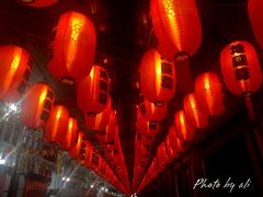 -新加坡佛牙寺龙华院