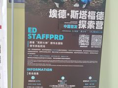 -韦伯科创·少儿编程·乐高·机器人(新光华教育中心)