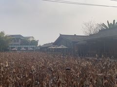 -莫催咖啡