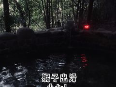 -苏州环秀晓筑养生度假村
