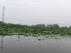 -白洋淀景区