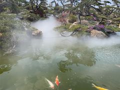 -罗红摄影艺术馆