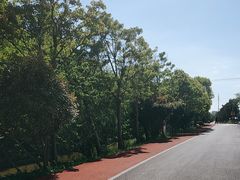 -上海长兴岛郊野公园