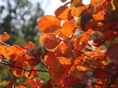 -北京西山国家森林公园