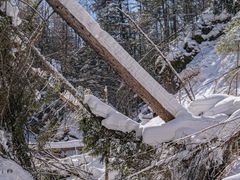-峡谷浮石林景区