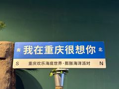-重庆欢乐海底世界