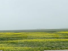 -山丹皇家马场